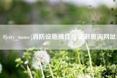 邓州消防设施操作员证书查询网址
