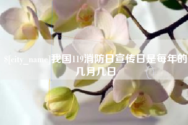 邓州我国119消防日宣传日是每年的几月几日