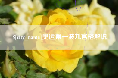 邓州奥运第一波九宫格解说