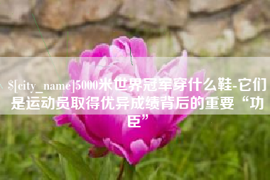 邓州5000米世界冠军穿什么鞋-它们是运动员取得优异成绩背后的重要“功臣”