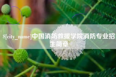 邓州中国消防救援学院消防专业招生简章