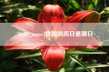 邓州我国消防日是哪日