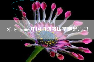 邓州中国消防救援学院是985吗