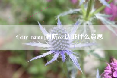 邓州消防ccc认证什么意思