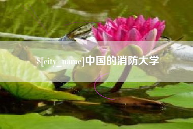 邓州中国的消防大学