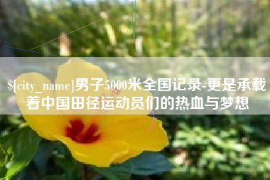 邓州男子5000米全国记录-更是承载着中国田径运动员们的热血与梦想