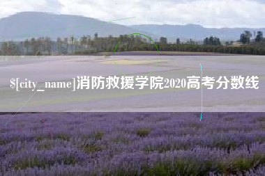 邓州消防救援学院2020高考分数线