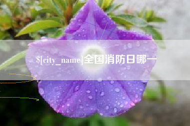 邓州全国消防日哪一