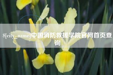 邓州中国消防救援学院官网首页查询