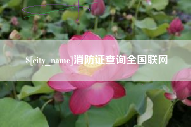 邓州消防证查询全国联网