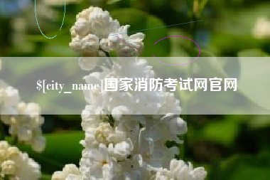 邓州国家消防考试网官网