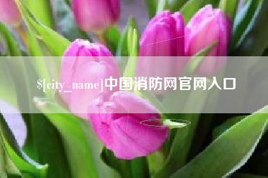 邓州中国消防网官网入口