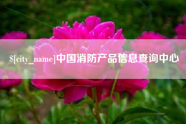 邓州中国消防产品信息查询中心