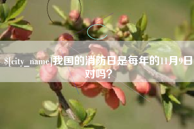 邓州我国的消防日是每年的11月9日对吗？