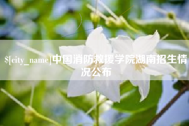 邓州中国消防救援学院湖南招生情况公布