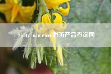 邓州ccc消防产品查询网