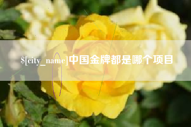 邓州中国金牌都是哪个项目