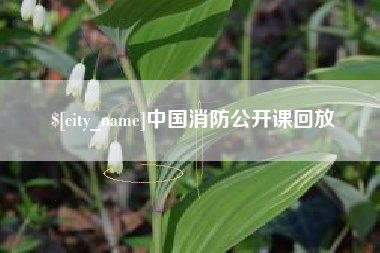 邓州中国消防公开课回放