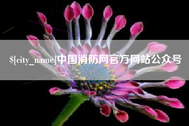 邓州中国消防网官方网站公众号