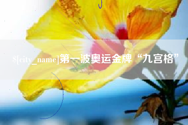 邓州第一波奥运金牌“九宫格”