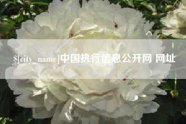 邓州中国执行信息公开网 网址