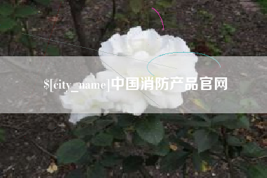 邓州中国消防产品官网