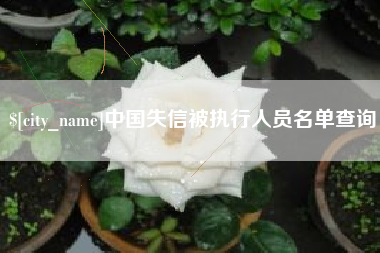 邓州中国失信被执行人员名单查询