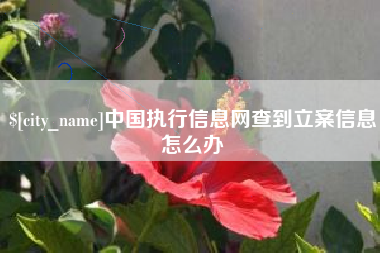 邓州中国执行信息网查到立案信息怎么办