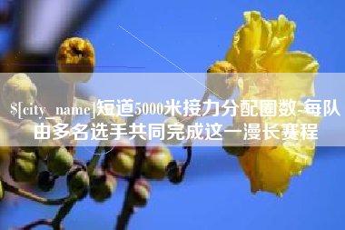 邓州短道5000米接力分配圈数-每队由多名选手共同完成这一漫长赛程