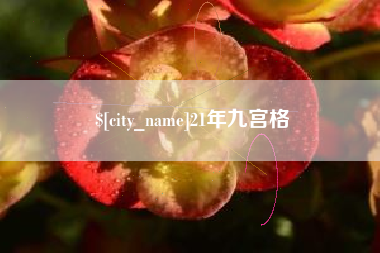 邓州21年九宫格