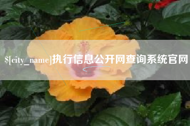邓州执行信息公开网查询系统官网