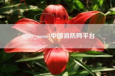 邓州中国消防网平台