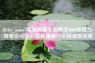 邓州哈尔滨亚冬会男子5000米接力-需要运动员们在高速滑行中精准地完成