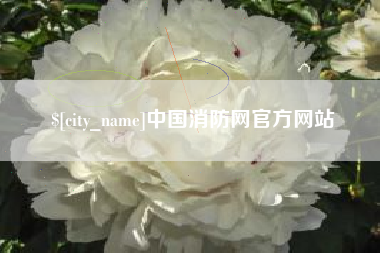 邓州中国消防网官方网站