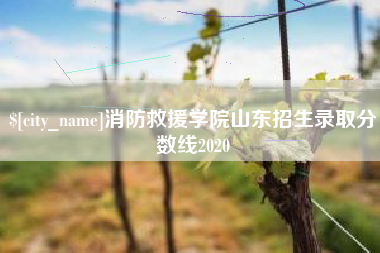 邓州消防救援学院山东招生录取分数线2020