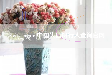 邓州中国失信执行人查询官网