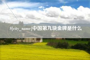 邓州中国第九块金牌是什么