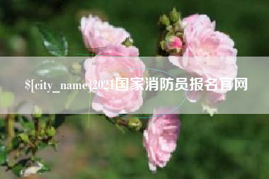 邓州2021国家消防员报名官网