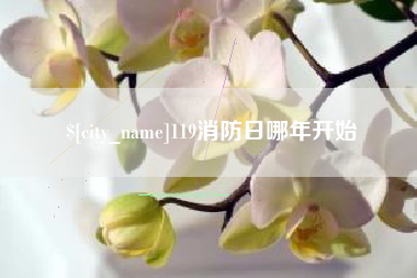 邓州119消防日哪年开始