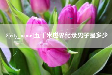 邓州五千米世界纪录男子是多少