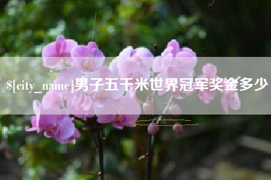 邓州男子五千米世界冠军奖金多少