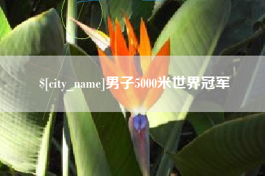 邓州男子5000米世界冠军