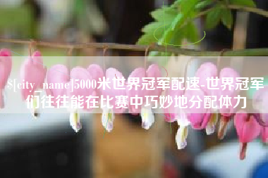邓州5000米世界冠军配速-世界冠军们往往能在比赛中巧妙地分配体力