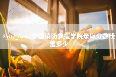 邓州中国消防救援学院录取分数线是多少