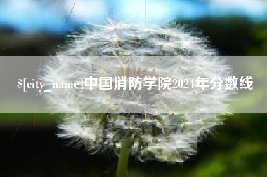 邓州中国消防学院2024年分数线
