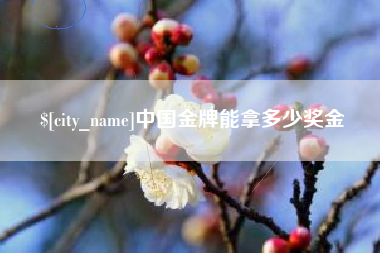 邓州中国金牌能拿多少奖金