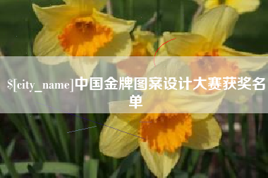 邓州中国金牌图案设计大赛获奖名单