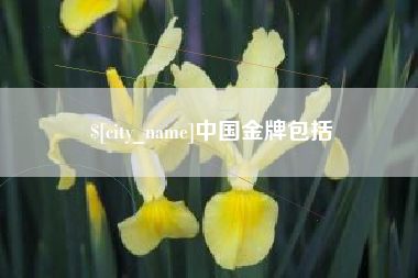邓州中国金牌包括
