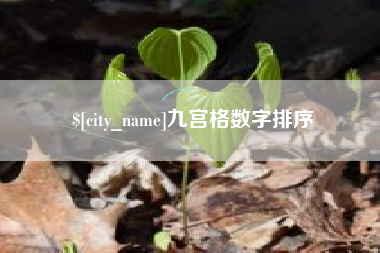 邓州九宫格数字排序
