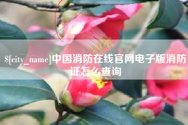 邓州中国消防在线官网电子版消防证怎么查询